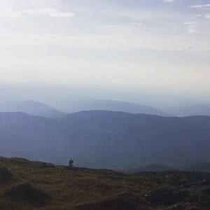 Meet your Posher, Josephus